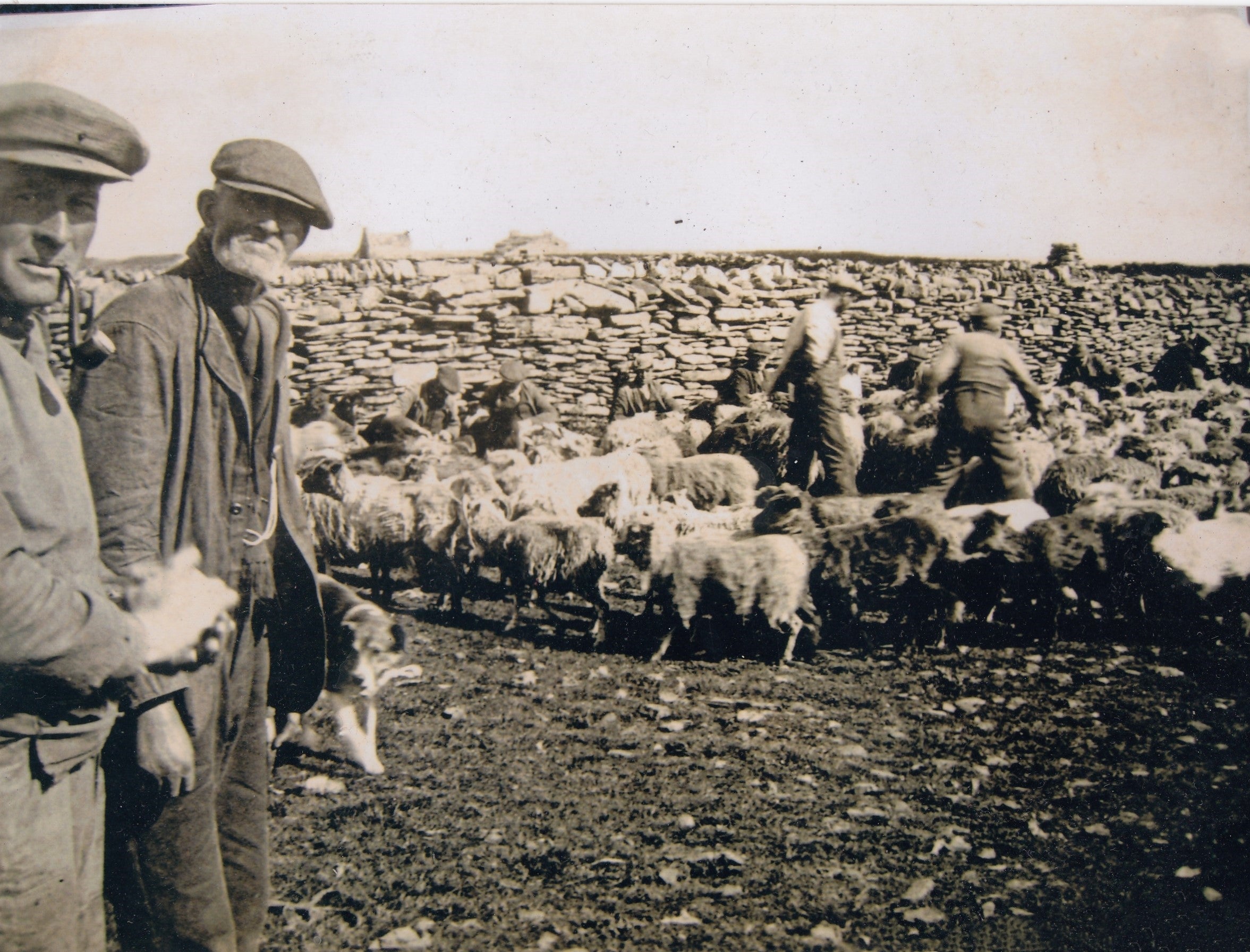 A Letter from North Ronaldsay 1990-1999 | Hardcover & Paperback