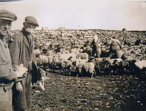 A Letter from North Ronaldsay 1990-1999 | Hardcover & Paperback