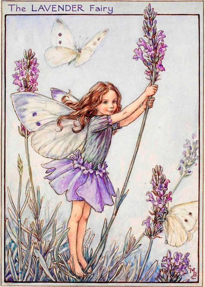 Fairytale & Folklore Stickers - Cecily Mary Barker's Flower Fairies: Red Clover, Lavender, Canterbury Bells, Pinks