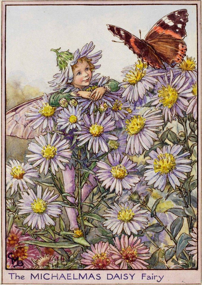 Fairytale & Folklore Stickers - Cecily Mary Barker's Flower Fairies: Michaelmas Daisy, White Bindweed, Scilla, Rush Grass/Cotton Grass