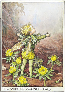Fairytale & Folklore Stickers - Cecily Mary Barker's Flower Fairies: Winter Aconite, Rose, Ground Ivy, Cherry Tree
