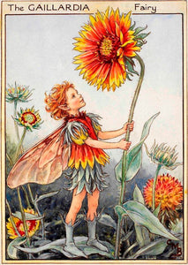 Fairytale & Folklore Stickers - Cecily Mary Barker's Flower Fairies: Marigold, Pear Blossom, Gaillardia, Bee Orchis