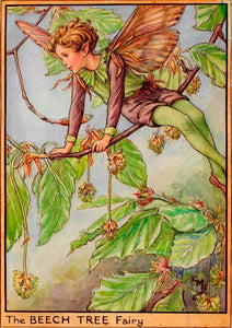 Fairytale & Folklore Mug - Cecily Mary Barker's Flower Fairies: Beech Tree, Rush Grass/Cotton Grass, Sweet Chestnut, shop.Orkneyology.com