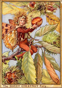 Fairytale & Folklore Mug - Cecily Mary Barker's Flower Fairies: Beech Tree, Rush Grass/Cotton Grass, Sweet Chestnut